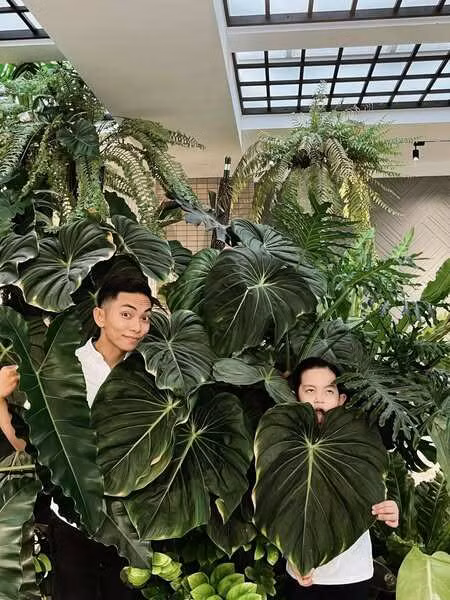 Góc vườn nhỏ đủ để gia đình Phan Hiểu chill và chụp hình. Ảnh: FBNV