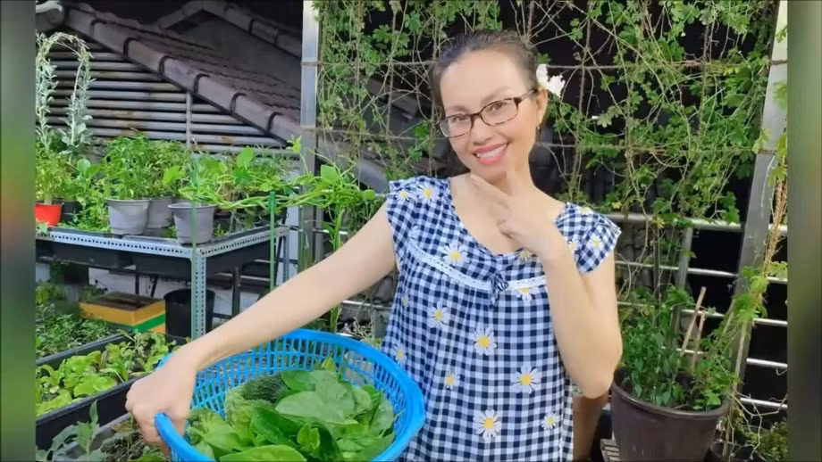 Dù nhà thừa điều kiện để thuê giúp việc nhưng Cẩm Ly vẫn tự mình gieo mầm, bón phân, cắt tỉa lá, uốn cành và trồng từng cây một. Ảnh chụp màn hình