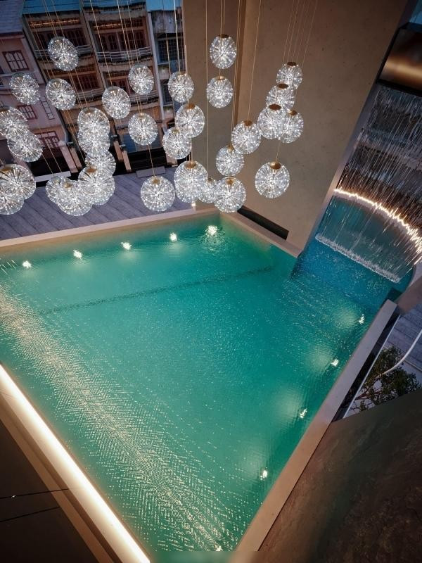 Trong khuôn viên biệt thự còn có bể bơi thiết kế sang trọng. Ảnh: FB Nguyen Le Viet Anh