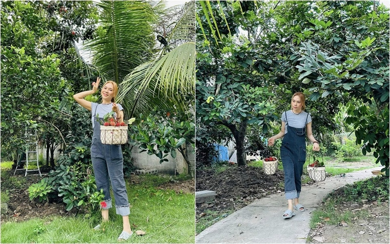 Ngày thường, Mỹ Tâm sống và làm việc trong ngôi nhà ở quận Phú Nhuận (TP HCM), chỉ về nhà vườn này để nghỉ ngơi, thư giãn tái tạo năng lượng. Ảnh: FBNV
