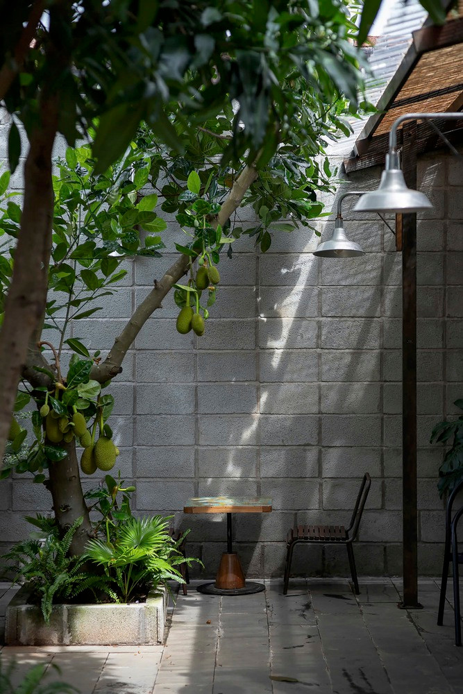 Khu vườn nhiều loại cây ăn quả, góp phần làm xanh hóa khuôn viên theo thời gian. Ảnh: Quang Dam