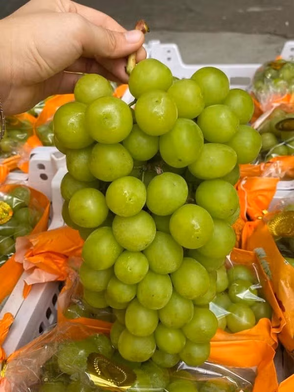 Nho sua Trung Quoc chua chat tru sau, nguoi tieu dung Viet hoang mang-Hinh-2