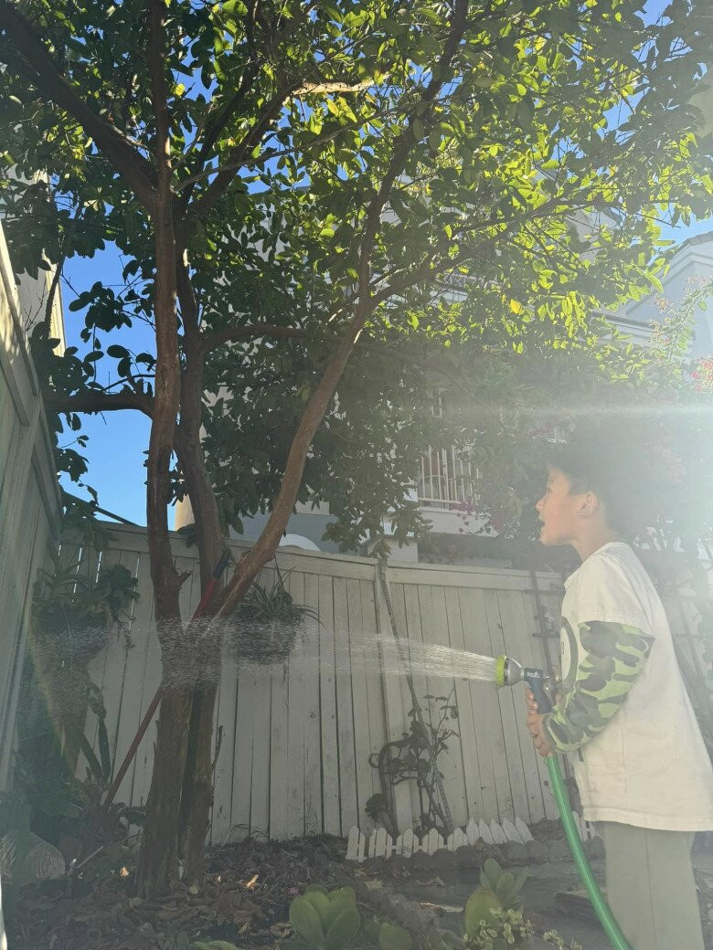 Hàng rào và những chậu cây được bài trí gọn gàng, mang đến khung cảnh yên bình. Ảnh: FBNV