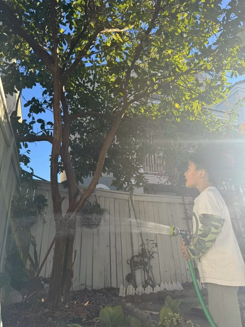 Hàng rào và những chậu cây được bài trí gọn gàng, mang đến khung cảnh yên bình. Ảnh: FBNV