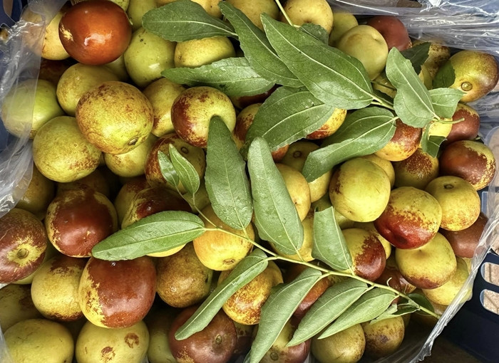 Cụ thể, giá hồng táo tươi phổ biến ở mức 30.000-70.000 đồng/kg. Ảnh: Vietnamnet