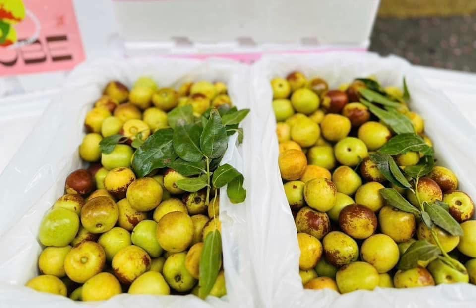 Vào vụ, hồng táo ngọt đậm, giòn tan, giá rẻ nên càng được người tiêu dùng ưa chuộng. Nhờ đó, có tiểu thương xuất bán trên dưới 500 thùng hồng táo mỗi ngày. Ảnh: FB Nhung Trần