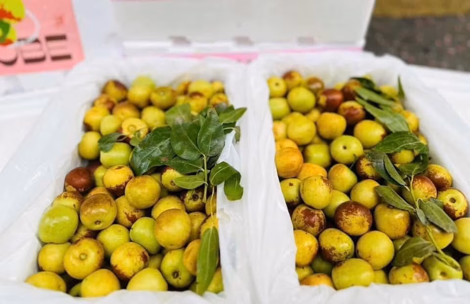 Vào vụ, hồng táo ngọt đậm, giòn tan, giá rẻ nên càng được người tiêu dùng ưa chuộng. Nhờ đó, có tiểu thương xuất bán trên dưới 500 thùng hồng táo mỗi ngày. Ảnh: FB Nhung Trần