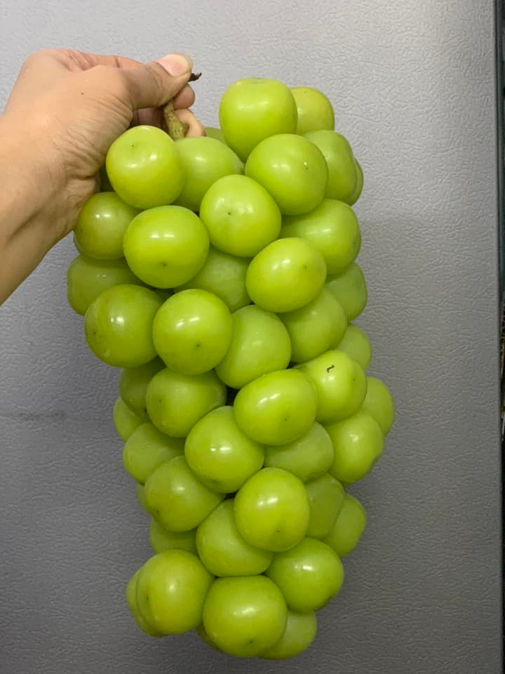 Một số đầu mối rao bán nho sữa theo thùng với giá chỉ 22.000 đồng/kg, nếu nhập trên 100 thùng mỗi lần giá sỉ giảm chỉ còn 18.000 đồng/kg. Ảnh: Facebook