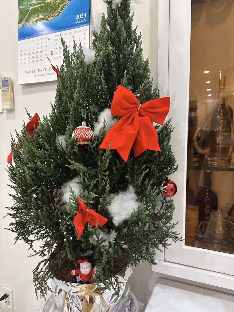 Cây tùng nhỏ cũng được tô điểm bởi trái châu, lớp bông tuyết nhân tạo, ngập tràn không khí Noel. Ảnh: FB Vy Oanh