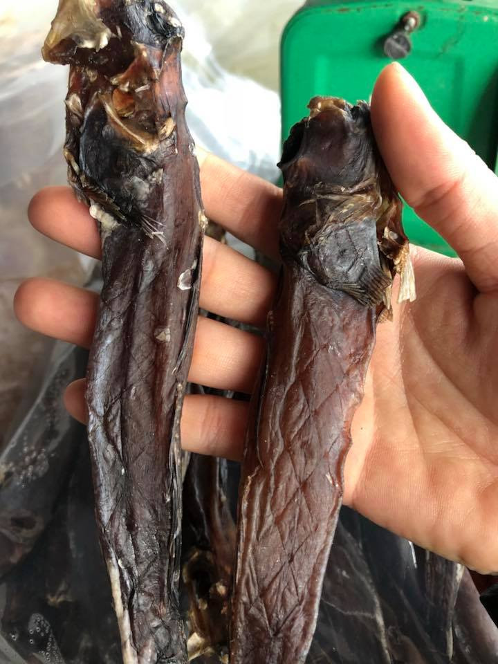 Nhiều người không khỏi bất ngờ khi loài cá trước kia chẳng mấy ai ăn thì nay có giá lên tới 600.000 đồng/kg. Ảnh: Đặc sản Cà Mau