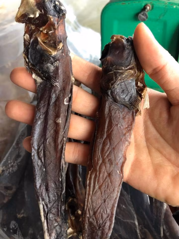 Nhiều người không khỏi bất ngờ khi loài cá trước kia chẳng mấy ai ăn thì nay có giá lên tới 600.000 đồng/kg. Ảnh: Đặc sản Cà Mau