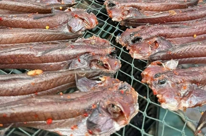 Gia vị thường dùng có sả, ớt, bột ngọt, muối, thời gian ướp là khoảng 2-3 tiếng đồng hồ cho thịt ngấm. Ảnh: Internet