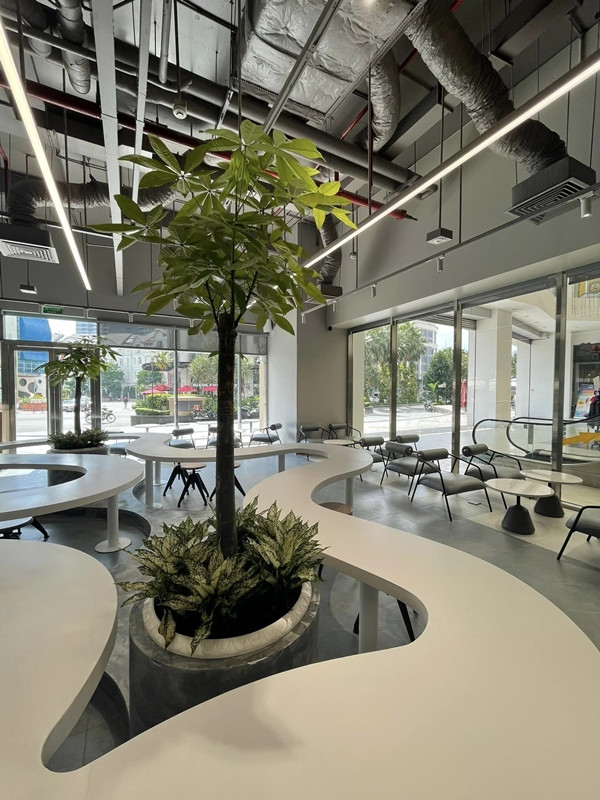 Hiện tại, chuỗi cafe của Tiến Đạt và Thụy Vy có rất nhiều chi nhánh khắp TP.HCM. Những mặt bằng của quán cafe này đều nằm ở vị trí đắc địa, mặt tiền... Ảnh: ĐSPL