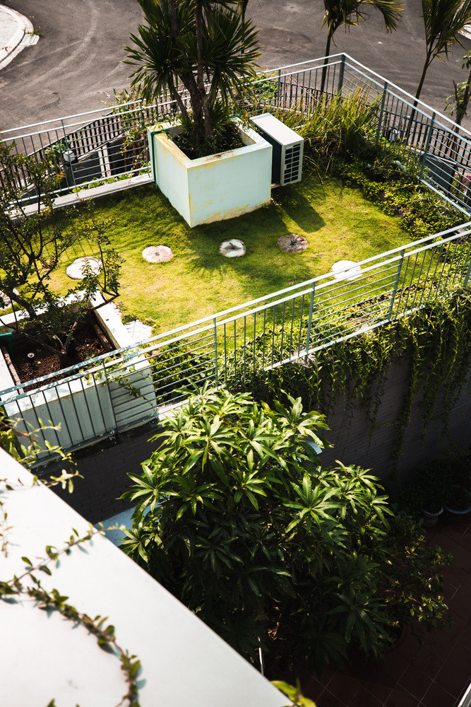 Mái nhà được tận dụng làm nơi trồng trọt với các loại trái cây, rau... Ảnh: Ho Khue Architects