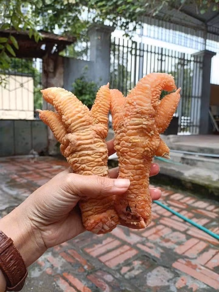 Theo các đầu mối, cặp chân gà càng to, càng xù xì xấu xí thì giá càng đắt. Ảnh: FB Ngọc Bích Trần