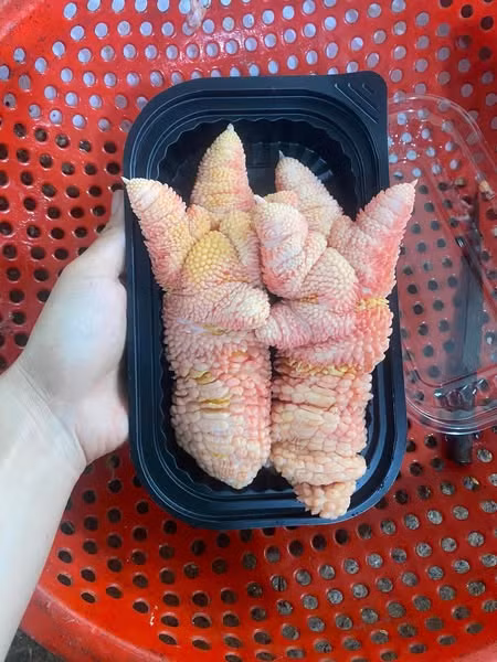 Thông thường, những con gà biếu tặng phải là gà trống, giống thuần chủng, nuôi khoảng 1 năm mới có được đôi chân 1 kg. Ảnh: FB Lê Linh