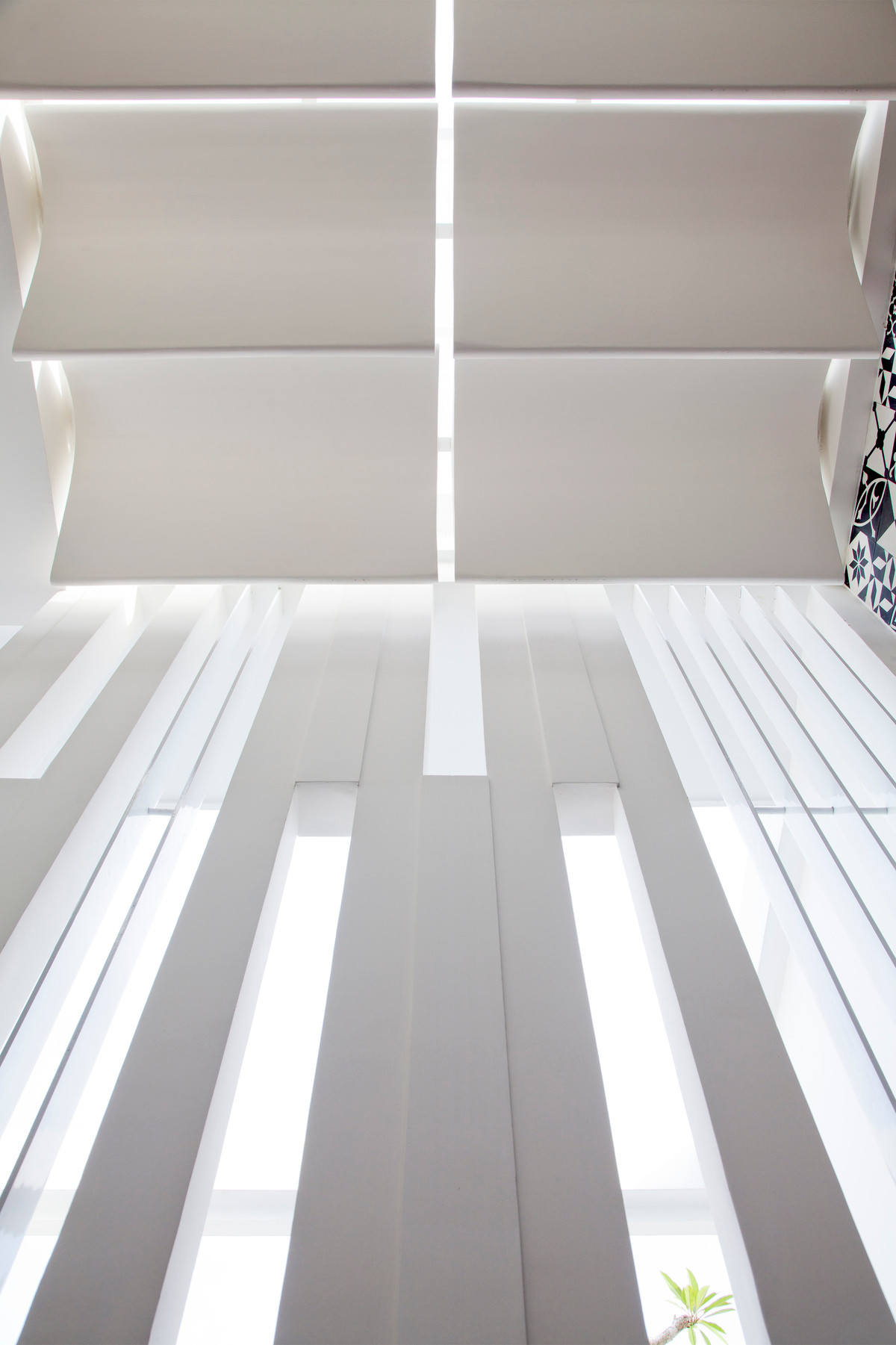 Ánh sáng lấy từ hai bên hông nhà, chủ yếu đi qua giàn dây leo, mặt nước, tường có nhiều khe hở và hệ thống lưới nhôm. Ảnh: Hiroyuki Oki