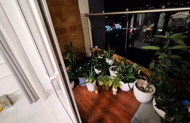 Ban công đặt nhiều chậu cây xanh. Ảnh: Vietnamnet
