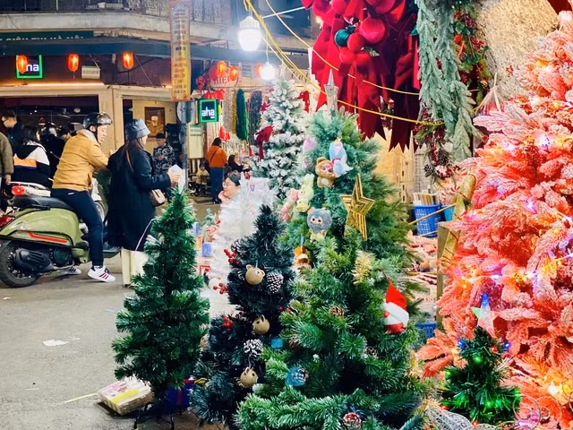 Những cây thông Noel treo loại túi mù đắt tiền, giá lên đến vài chục triệu đồng. Ảnh: Suckhoedoisong