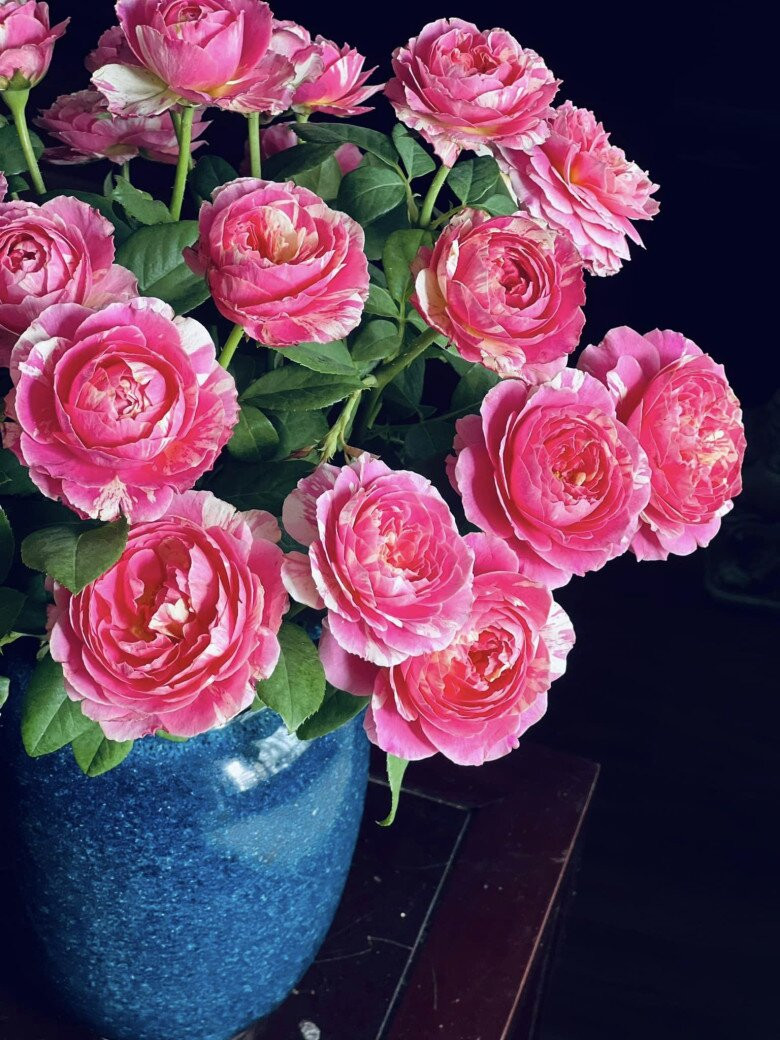 Bình hồng Claude Monet bung nở quyến rũ. Ảnh: FB Dang Diem Quynh