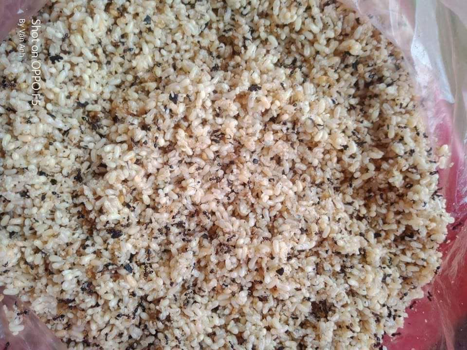 Nguyên liệu chính của bánh là trứng kiến. Do phụ thuộc vào nguyên liệu đặc biệt này nên hàng năm chỉ có thể làm bánh từ đầu tháng 4 đến cuối tháng 5 Dương lịch. Ảnh: Vietnamnet