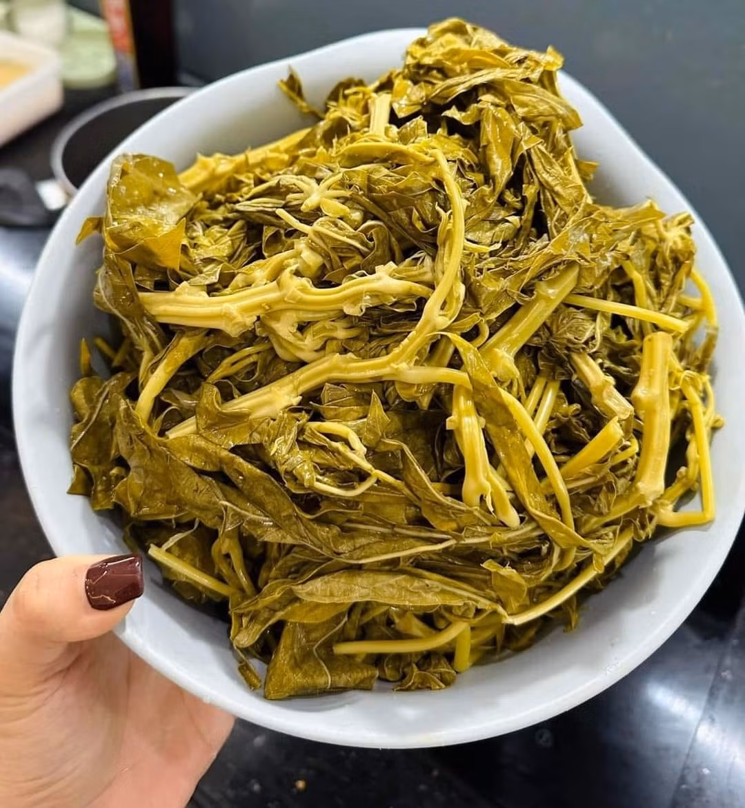 Rau sắn muối chua hay còn gọi dưa lá sắn vốn là món ăn dân dã ở Phú Thọ thời đói nghèo. Hiện nay, rau sắn muối trở thành đặc sản được nhiều chị em Hà Nội săn lùng, tìm mua. Ảnh: Facebook