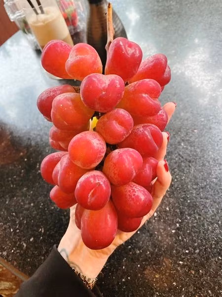 Thời gian gần đây, nho trái tim xuất xứ Nhật Bản được nhiều người tiêu dùng Việt ưa chuộng dù giá bán 1,5 - 2,2 triệu đồng cho mỗi chùm 600-800g. Ảnh: FB Nguyễn Huyền