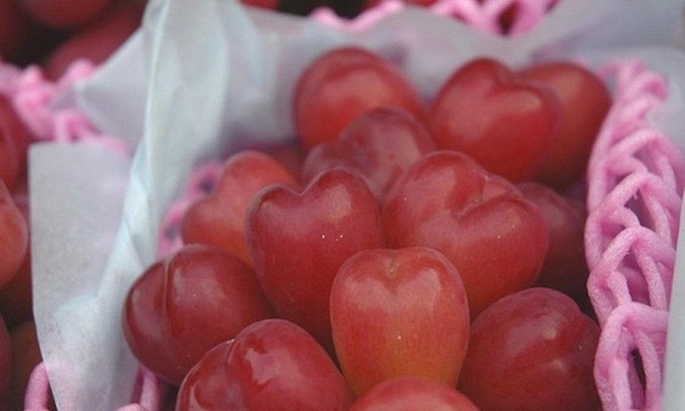 Mùa nho trái tim Nhật Bản thường kéo dài từ tháng 10 đến tháng 12. Vì mùa vụ ngắn nên mỗi khi nho trái tim về, khách thường đặt nhiều hơn các loại nho Nhật khác. Ảnh: Kinhtedothi