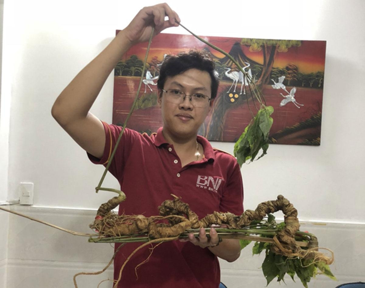 Cũng trong năm 2019, một củ sâm Ngọc Linh hơn 100 tuổi, dài khoảng 70cm, nặng 920gram, có cả thân cây, được một người ở Kon Tum mua với giá gần 1 tỷ đồng. Ảnh: Dân Việt