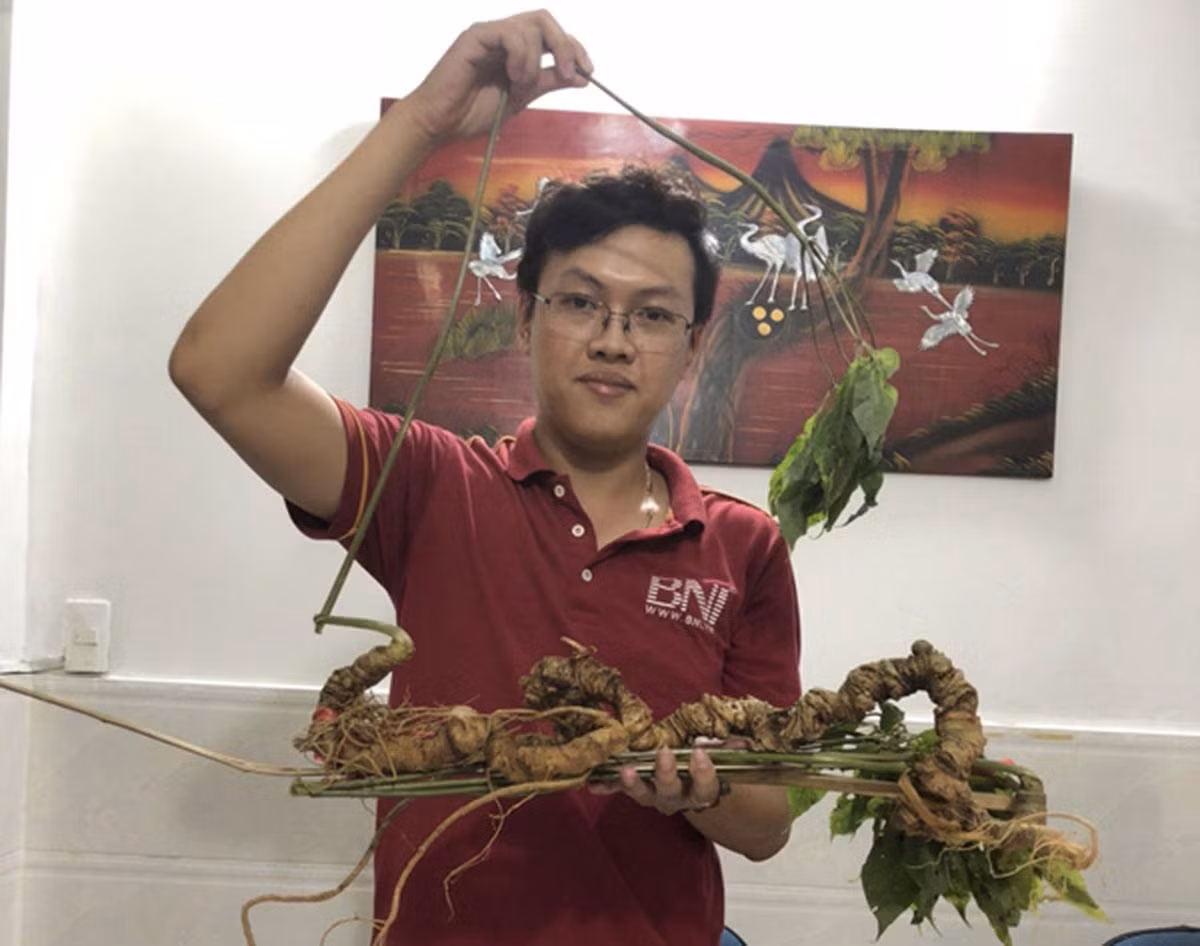 Cũng trong năm 2019, một củ sâm Ngọc Linh hơn 100 tuổi, dài khoảng 70cm, nặng 920gram, có cả thân cây, được một người ở Kon Tum mua với giá gần 1 tỷ đồng. Ảnh: Dân Việt