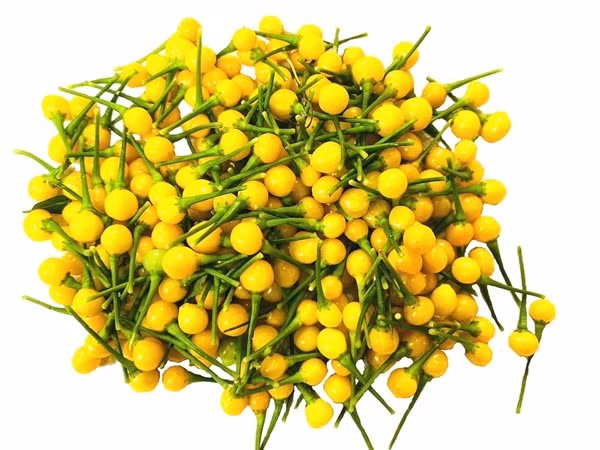 Quả ớt nhỏ xíu, bên trong có từ 12 tới 20 hạt. Vỏ giòn, ăn thơm, ăn một lần là nhớ mãi. Ảnh: Getty