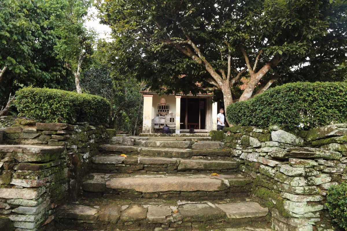 Ngõ dẫn vào nhà là những bậc thềm đá rêu phong. Ảnh: Tiền phong