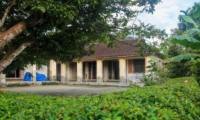 Bao quanh nhà là hàng chè xanh ngắt, được cắt tỉa phẳng phiu. Ảnh: Vietnamnet