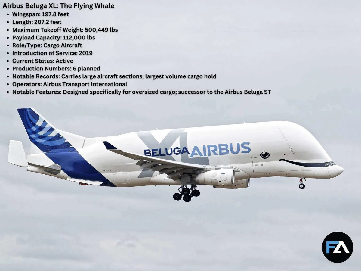 Airbus Beluga XL có thể dễ dàng nhận biết nhờ thân máy bay phình đặc trưng, được thiết kế chuyên dụng để vận chuyển hàng hóa quá khổ như các bộ phận máy bay. Với sải cánh dài hơn 60 mét, trọng lượng cất cánh tối đa 226 tấn, Beluga XL có thể chở tới 50 tấn hàng hóa. Ảnh: Wiki