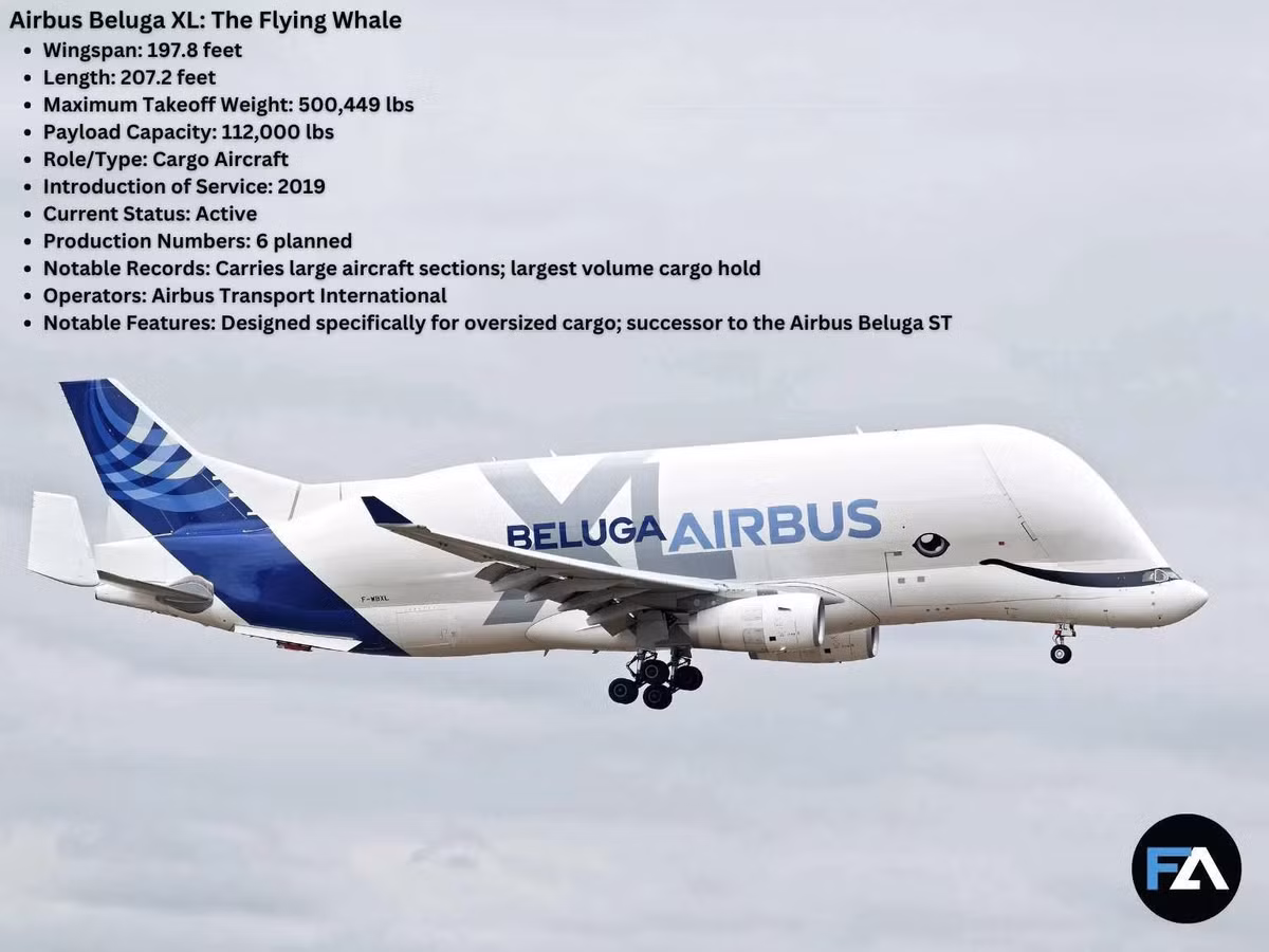 Airbus Beluga XL có thể dễ dàng nhận biết nhờ thân máy bay phình đặc trưng, được thiết kế chuyên dụng để vận chuyển hàng hóa quá khổ như các bộ phận máy bay. Với sải cánh dài hơn 60 mét, trọng lượng cất cánh tối đa 226 tấn, Beluga XL có thể chở tới 50 tấn hàng hóa. Ảnh: Wiki