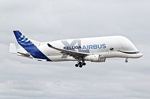 Ra mắt vào năm 2019, Airbus Beluga XL là một phần quan trọng trong mạng lưới hậu cần của Airbus, vận chuyển các bộ phận lớn của Airbus A350 và A380 giữa các địa điểm sản xuất trên khắp châu Âu. Ảnh: Wiki