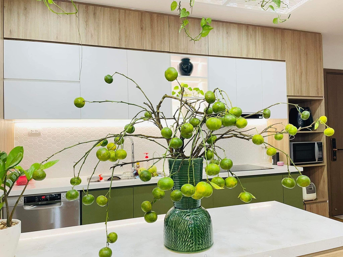 Ngoài ra, quýt chơi rất bền, cuống dai không rụng quả. Ảnh: Facebook