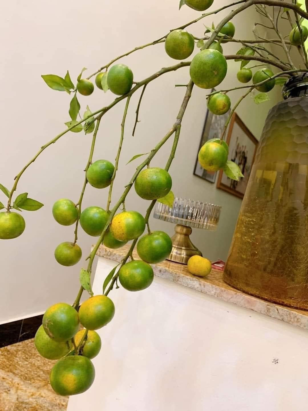 Người chơi cũng có thể tự do sáng tạo, kết hợp cắm cành quýt với các loại hoa, lá khác để tạo nên những tác phẩm nghệ thuật độc đáo. Ảnh: Facebook