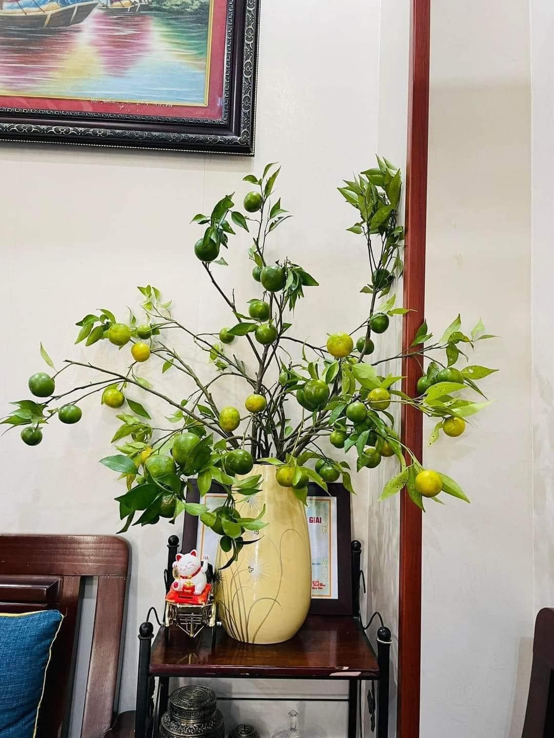 Khi chưa chín, quả quýt có màu xanh, còn khi chín lại có màu vàng tươi tắn cùng hương thơm dịu nhẹ. Ảnh: Facebook