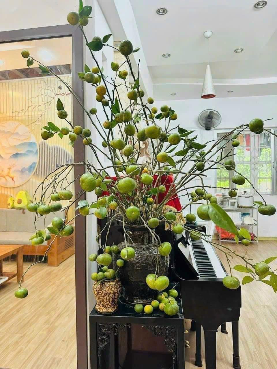 Với dáng buông tự nhiên cùng những quả quýt tròn xoe, cắm quýt cả cành không chỉ mang đến vẻ đẹp độc đáo mà còn tỏa hương thơm dịu mát cho cả căn phòng. Ảnh: Facebook