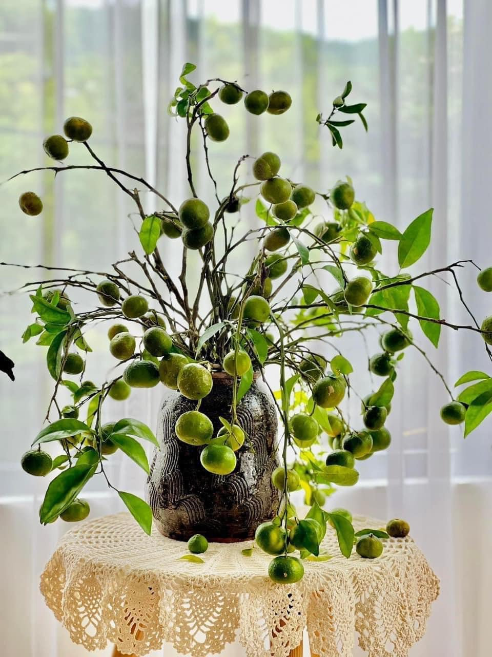 Bên cạnh các loại cành quả quen thuộc như hồng, thị, táo mèo... một trào lưu mới đang dần trở nên phổ biến trong giới yêu hoa, đó là cắm quýt cả cành. Ảnh: Facebook