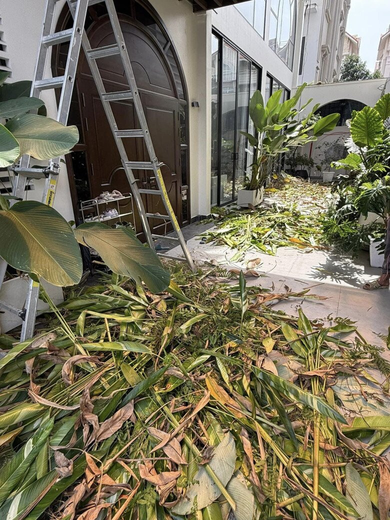 Bạn bè khen Vân Trang khéo tay trồng và chăm sóc cây tươi tốt. Ảnh: FB Vân Trang