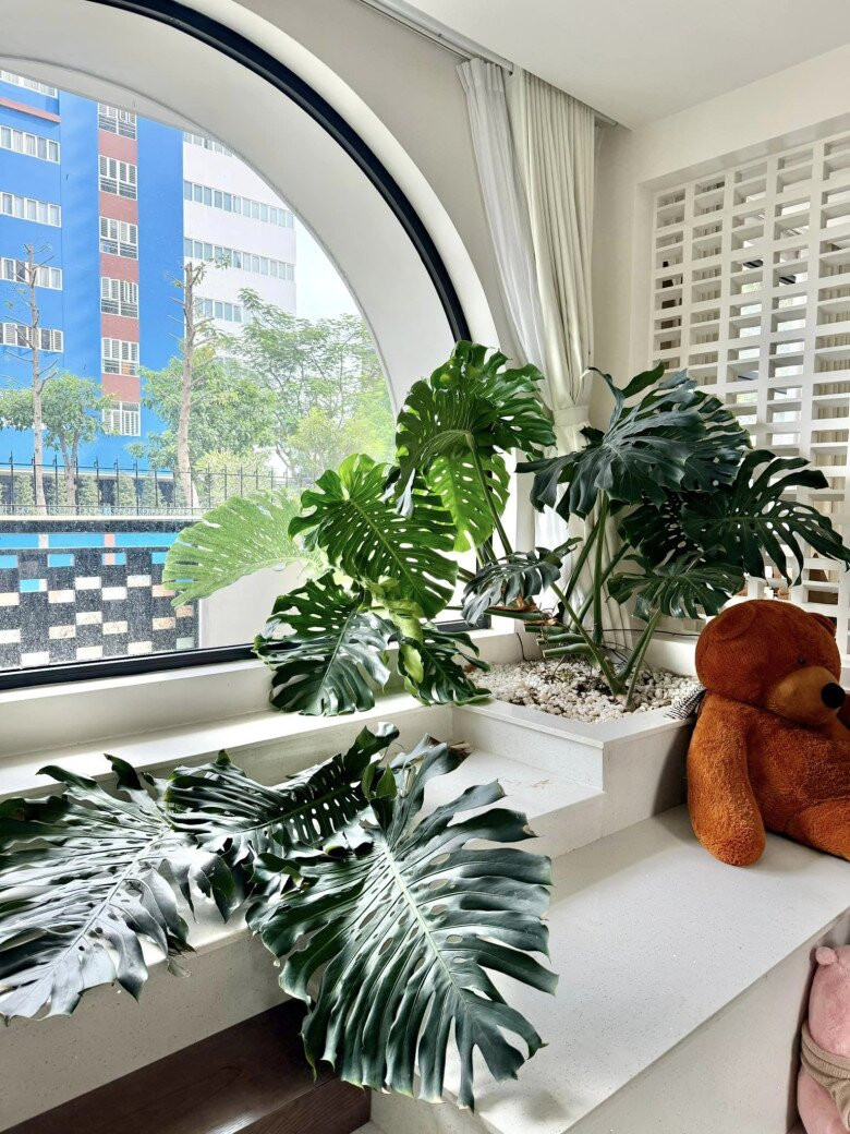 Cây nào cũng xanh tốt và um tùm. Ảnh: FB Vân Trang