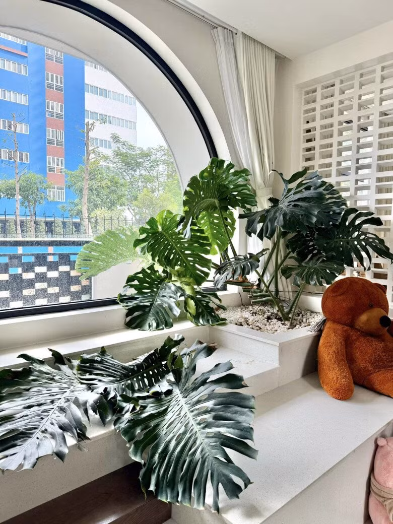 Cây nào cũng xanh tốt và um tùm. Ảnh: FB Vân Trang