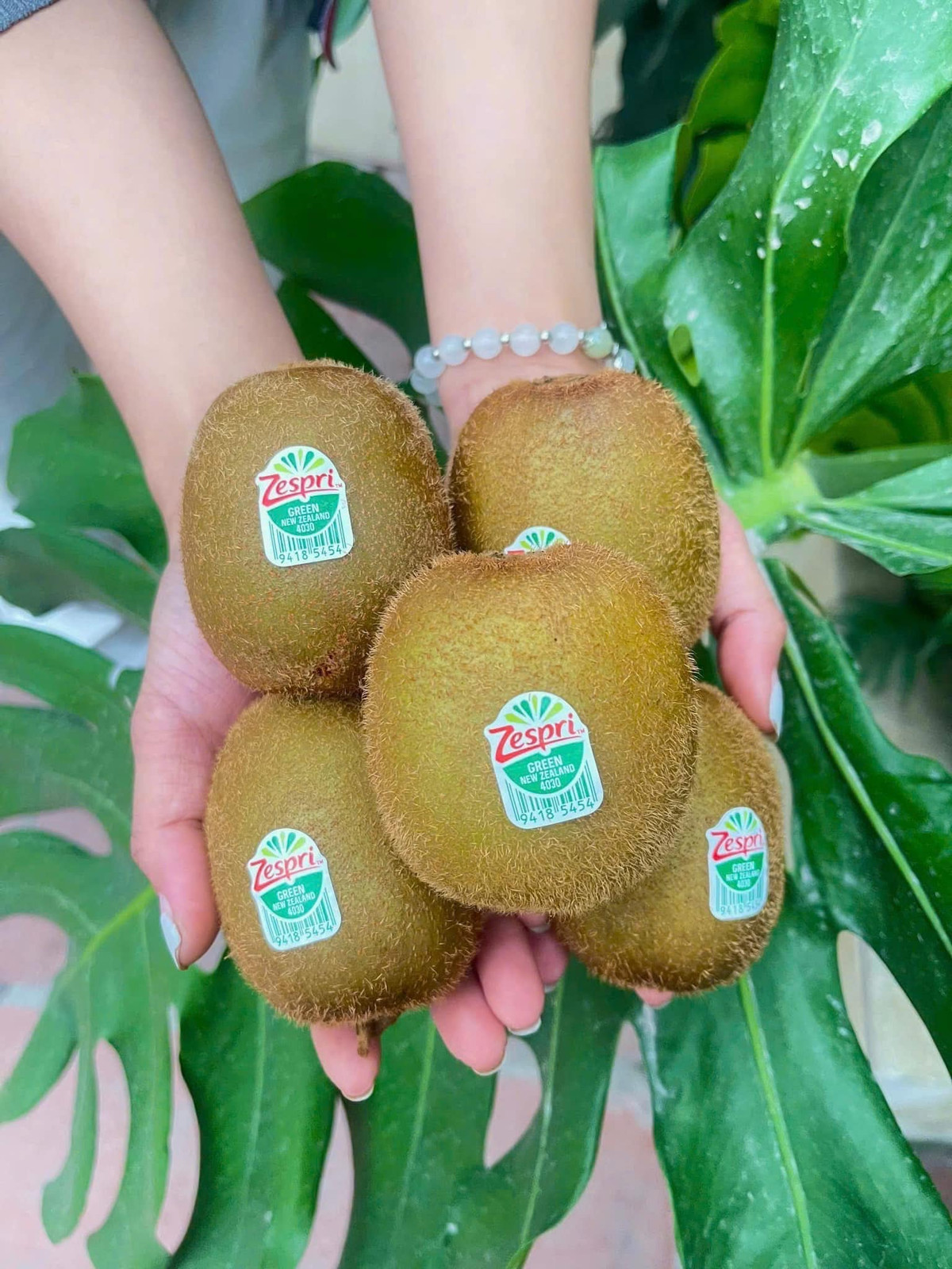 Kiwi nhập khẩu có 3 loại chính là kiwi vàng, kiwi xanh và kiwi berry, trong đó kiwi vàng và xanh phổ biến hơn. Ảnh: Facebook