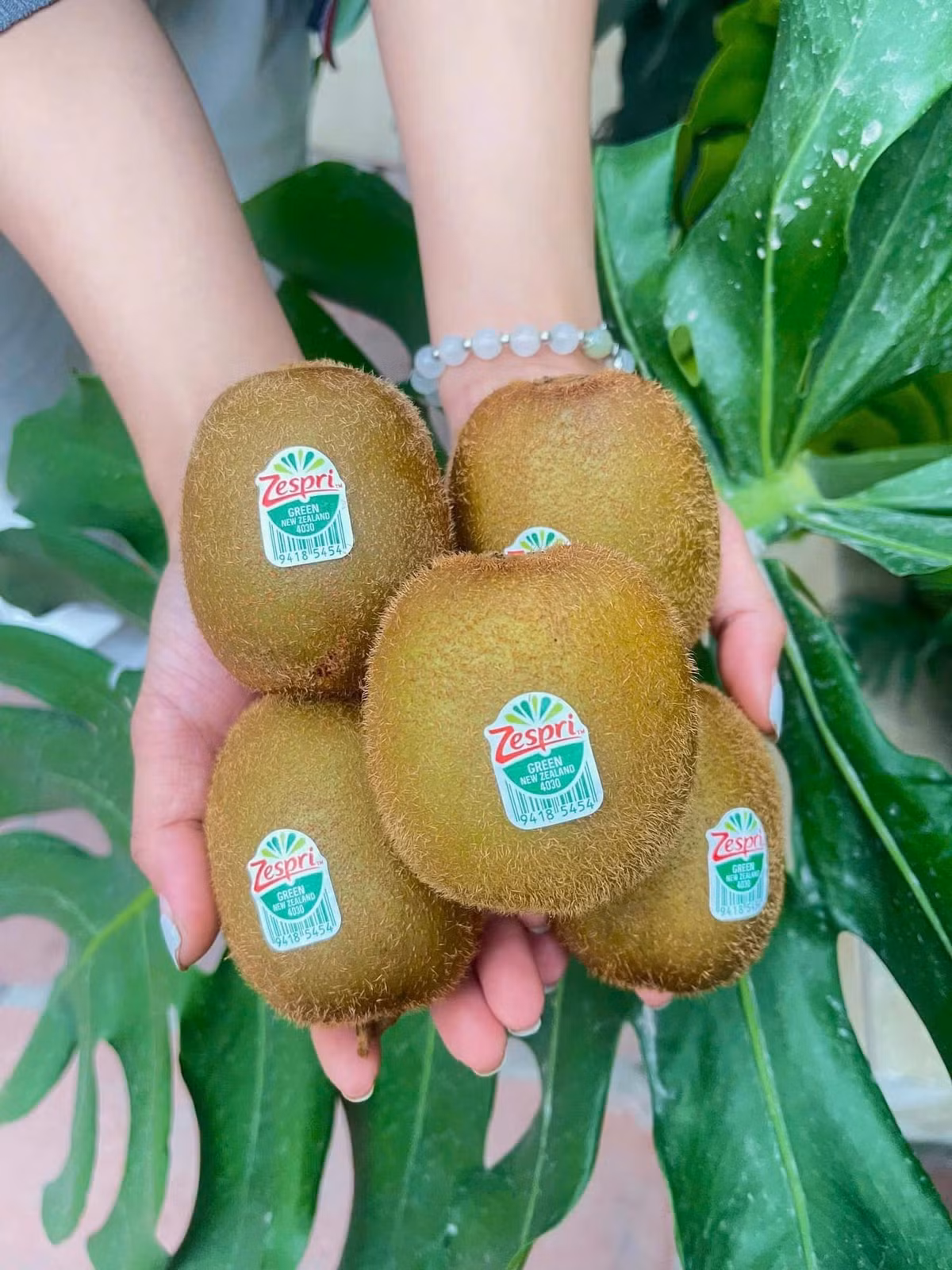 Kiwi nhập khẩu có 3 loại chính là kiwi vàng, kiwi xanh và kiwi berry, trong đó kiwi vàng và xanh phổ biến hơn. Ảnh: Facebook