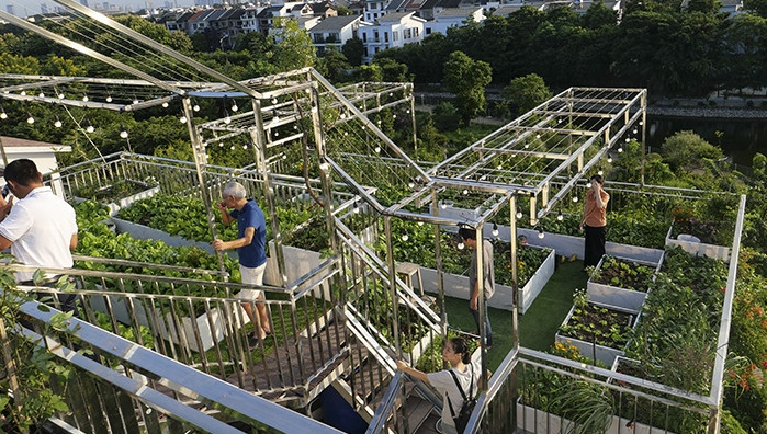 Để có được khu vườn giữa lưng chừng trời, ông Dũng dùng các thanh inox hộp dựa theo kết cấu mái nhà tạo thành các tầng cao, thấp khác nhau. Ảnh: Báo tin tức