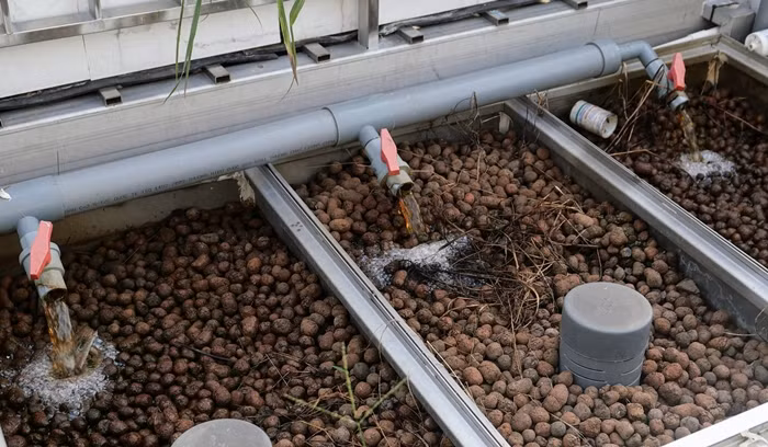 Hàng ngày, gia đình ông sử dụng rác thải nhà bếp như vỏ củ quả để thả vào thùng. Sau khi ủ, rác phân hủy, ngấm ra ngoài, tạo thành thức ăn cho trùn quế. Loại phân này "tự động" làm đất thêm dinh dưỡng, tơi xốp. Ảnh: Dân Việt