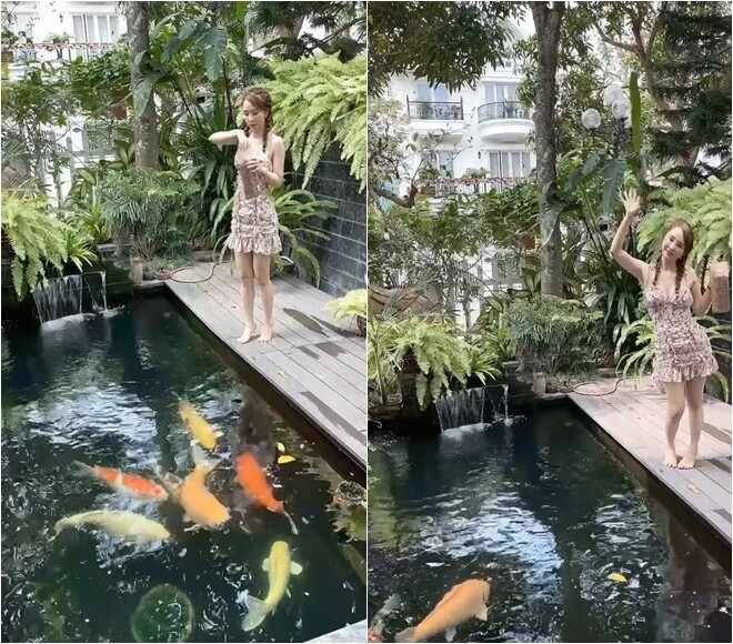 Trong nhà còn có hồ cá Koi được dân mạng ước đoán lên tới vài trăm triệu. Ảnh: FBNV
