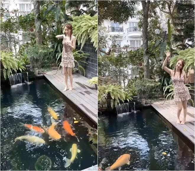 Trong nhà còn có hồ cá Koi được dân mạng ước đoán lên tới vài trăm triệu. Ảnh: FBNV